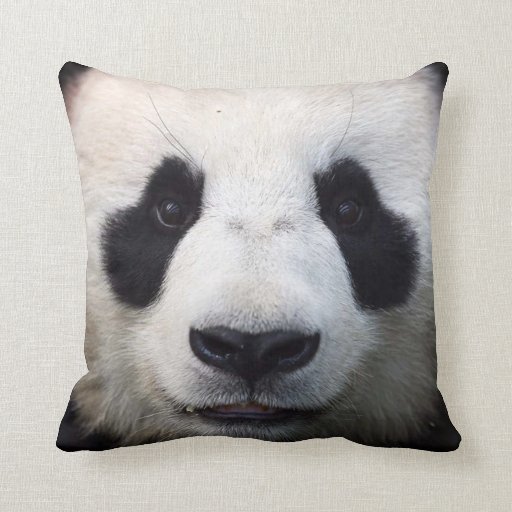 mini panda pillow pet