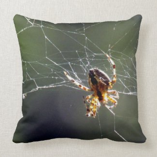 pillow - Spider on Web