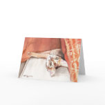 "Pillow Talk" Abyssinian Greeting Cards