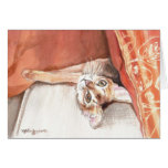 "Pillow Talk" Abyssinian Greeting Cards