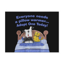 Pillow Warmers Postcard
