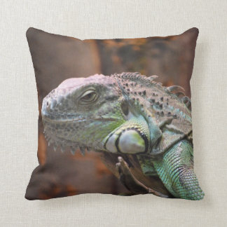 lizard pillow pet