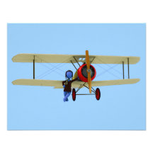 Pilot and Biplane Announcements