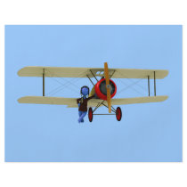 Pilot and Biplane flyers