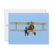 Pilot and Biplane Announcements