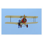 Pilot and Biplane Custom Stationery
