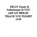 PILOT Chesly B. Sullenberger lll YOU  ARE M... t-shirts