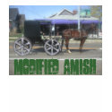 Pimped Amish Buggy t-shirts
