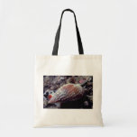 Pimpled basket shell (Nassarius papillosus) Shell Tote Bag