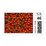 Pin Cushion / Tiny Tomato postage