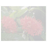 Pin Ixora flowers Letterhead Design