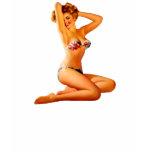 Pin Up Girl t-shirts