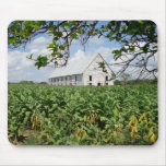 Pinar del Rio Tobacco Barn mousepads