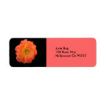 Pinata Rose Return Address Label
