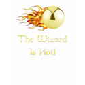 Pinball Wizard Is Hot