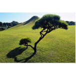 Pine and manmade hillock, Suizenji Park, Kumamoto, Cut Outs