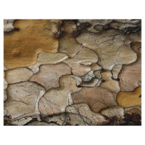Pine bark from the Forest Flyer Design