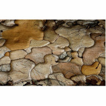 Pine bark from the Forest Cut Out