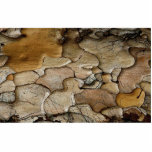 Pine bark from the Forest Cut Out