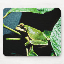 Pine Barrens tree frog Mousepad