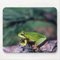 Pine Barrens Treefrog Mouse Pads