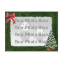 Pine Border Christmas Photo Postcard