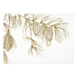 Pine Boughs Invitation invitations