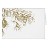 Pine Boughs Thank You Card cards