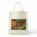 Pine cone 3 bag