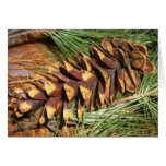 Pine cone 3 card