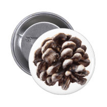 Pine Cone Button buttons
