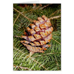 Pine cone card 2