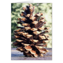 Pine Cone Card, Blank