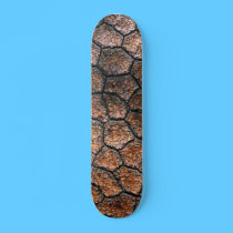 Pine Cone Fractal Skateboard Deck skateboards