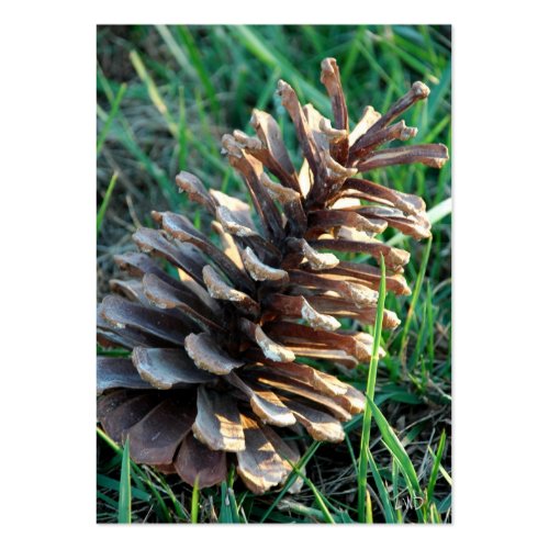 Pine Cone Gift Tags profilecard