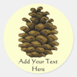 Pine cone Illustration Sticker