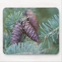 Pine Cone Mousepad