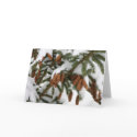 Pine Cone Notecard by Classic_Cat Pine Cone Notecard