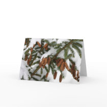 Pine Cone Notecard by Classic_Cat Pine Cone Notecard