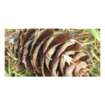 Pine Cone Photo Card