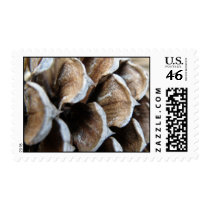 Pine Cone Postage postage by KELLBELL535 Pine Cone Postage postage