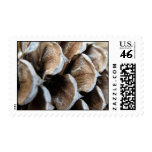 Pine Cone Postage