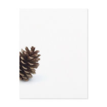 Pine Cone postcards by lifesphere Pine Cone postcards