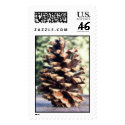 Pine Cone Stamp