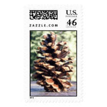 Pine Cone Stamp