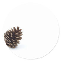 Pine Cone stickers by lifesphere Pine Cone stickers