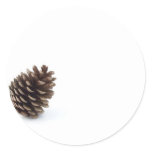 Pine Cone Round Sticker