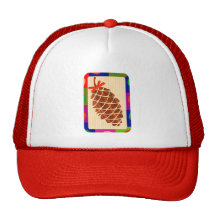Pine cone with colorful border hat