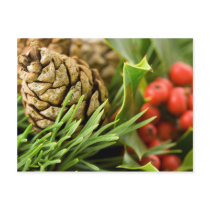 Pine cones and berries postcards by swkw11 Pine cones and berries postcards