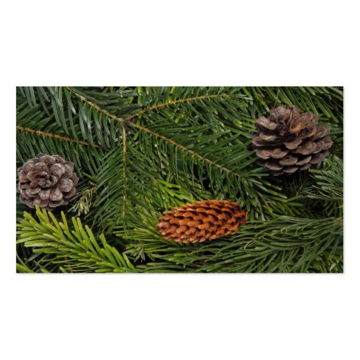 Pine Cones and Branches Business Card Templates (back side)